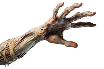 Fototapeta premium Halloween theme: terrible zombie hand isolated on white background with clipping path