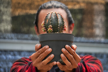 Close up photo - Long haired asian man cactus gardener in red holds a gymnocalycium cactus flower...