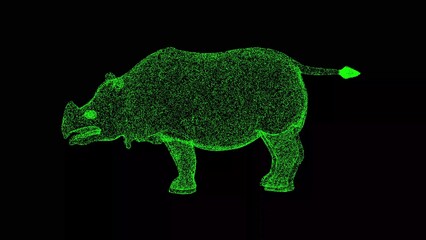 3D Rhino on black background. Wildlife concept. African safari. Business advertising backdrop. For title, text, presentation. 3d animation.