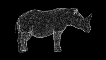 3D Rhino on black background. Zoo Park concept. Wild animals in captivity. Business advertising backdrop. For title, text, presentation. 3d animation.