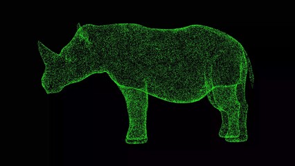 3D Rhino on black background. Zoo Park concept. Wild animals in captivity. Business advertising backdrop. For title, text, presentation. 3d animation.