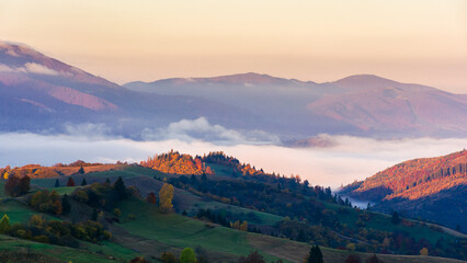 mountainous countryside at sunrise in fall season. rural landscape with forested rolling hills and grassy meadows. cloud inversion in the distant valley