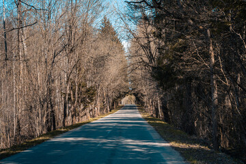 Autumn road outside the city