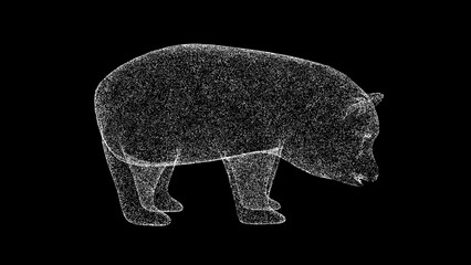 3D Panda on black background. Zoo Park concept. Wild animals. Business advertising backdrop. For title, text, presentation. 3d animation. © Oksana