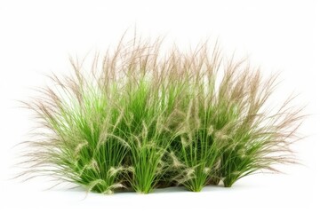 A beautifully landscaped field featuring lush greenery, ornamental grasses, and wildflowers in various vibrant colors.