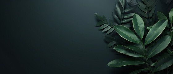 Dark Green Background With Flowers Leaves