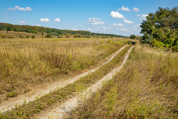 Fototapeta na wymiar Rural road through a meadow with grass and trees. Nature of the forest-steppe on a sunny day in late summer early autumn