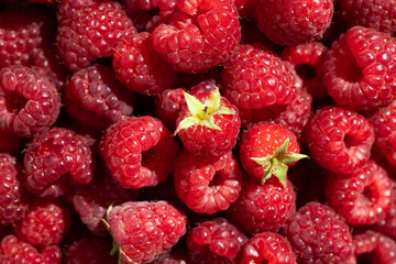 Fresh raspberries close up