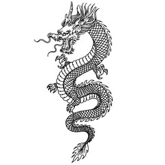 Chinese dragon tattoo isolate on white background. Japanese dragon vector graphic, aggressive asian dragon. Vector graphics for t-shirt prints and other uses.
