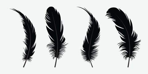 Feather vector icon set, Simple style vector illustration white background © Lutfar
