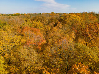 Golden Autumn in Wisconsin