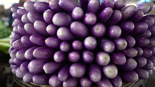 Fresh brinjal at market. Brinjal, also known as eggplant or aubergine, is a versatile and nutritious vegetable that is a staple in many cuisines around the world. 4k vegetables video