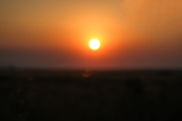 As the sun sets in the field