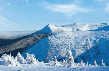 Fotobehang Winter mountain landscape with snowy trees on slope in front (Carpathian, Ukraine) © wildman