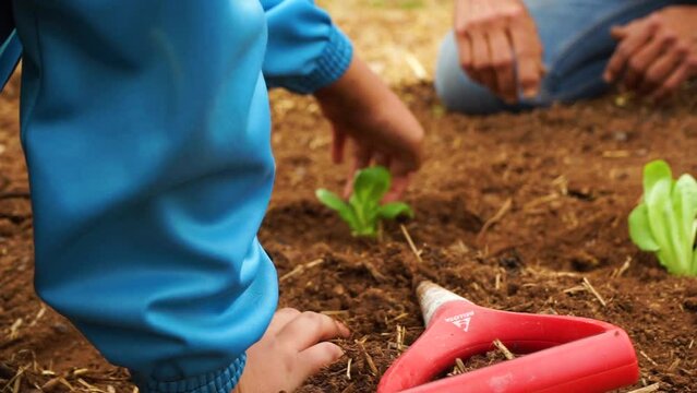 teaching agriculture to the youngest 