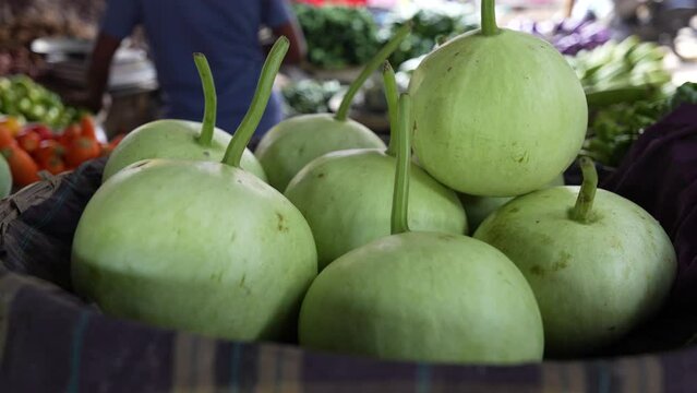 Fresh, raw, organic gourd at market. Gourds are a versatile and flavorful vegetable that can be used in a variety of dishes. They are a good source of vitamins, minerals, and antioxidants.