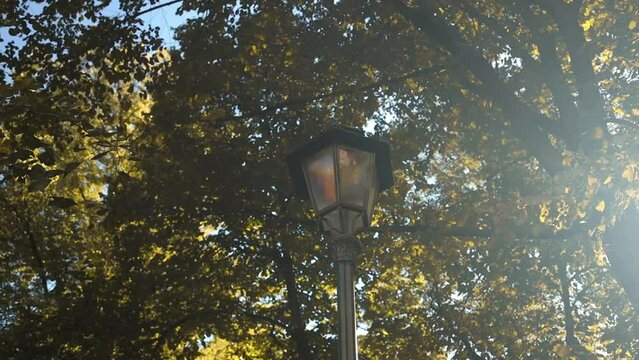 Old street lantern on sunset tree park sky background. Retro lamp close up view. Old street lantern with tree in background. High quality FullHD footage