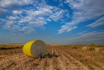 Cotton field, a large cotton farm,the cotton is harvested and baled for export to overseas...