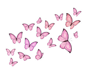 butterflies and flowers