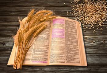Bible opened in Mark where Jesus is talking about sowing seed and how it is scattered in different grounds. Buch of rye over the open book photo and photo manipulation.  - obrazy, fototapety, plakaty