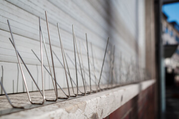 Selective focus and close up detail of Gutter Spikes for Birds, protect bird to nest and roost on...
