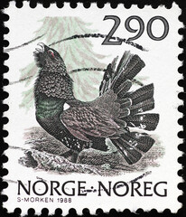 Capercaillie on norwegian postage stamp