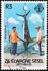Trophy of a blue marlin got in Seychelles seas