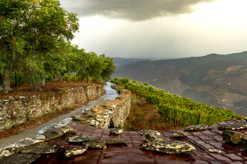 Viewpoint view of terraced vineyards at romantic in Douro valley near Pinhao village, heritage of...
