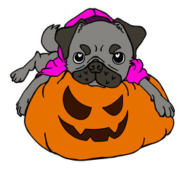 ジャックオーランタンと黒パグ
