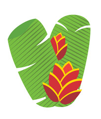 heliconia tropical flower