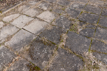 part of the old decorative road in the park for walking