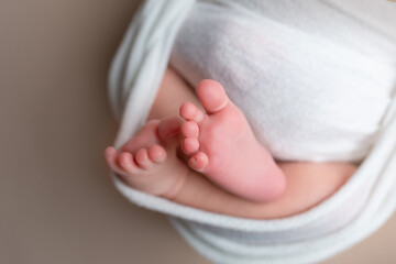 feet of a newborn baby. baby feet