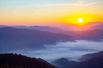 Morning dense fog in the mountainous forest area of ​​the Ukrainian Carpathians. Landscape in nature. Dawn in the mountains