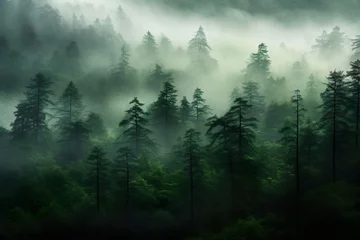 Zelfklevend Fotobehang Misty landscape with fir forest in hipster vintage retro style © amin