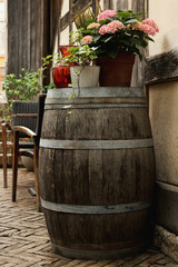 Traditional wooden barrel and beautiful houseplants outdoors