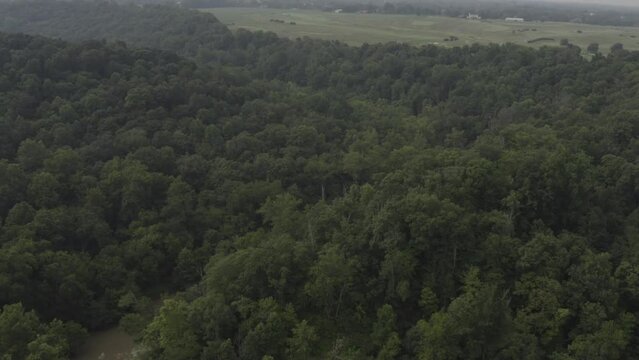 Aerial footage of a jungle, forest in the United States with green trees and blue skies