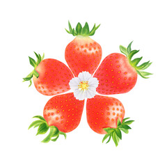 Composition of ripe strawberries on transparent background. Watercolor hand drawn illustration. For advertising, packaging, menus, invitations, business cards, postcards, printing
