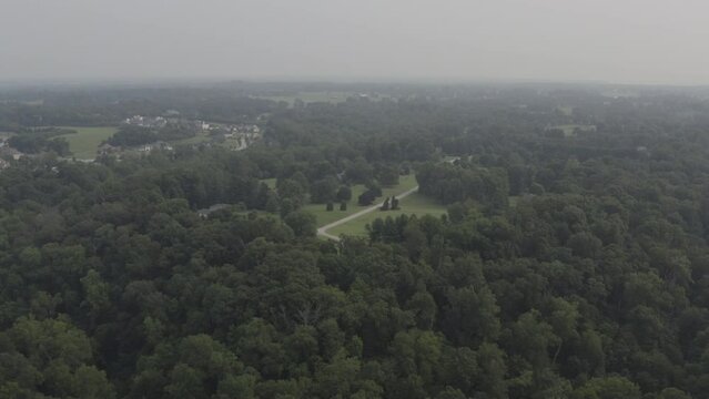 Aerial footage of a jungle, forest in the United States with green trees and blue skies