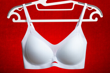 light blue bra hanging on red background