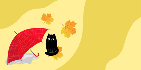 Autumn background. A small black kitten sits next to an umbrella among yellow leaves. © Ирина Горелова