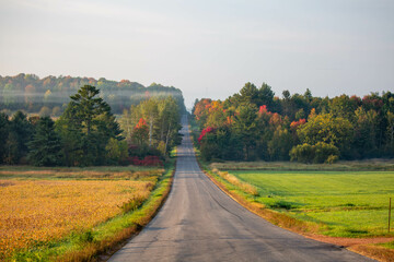 Fog coming off a Wisconsin forest next to a road and farmland in September