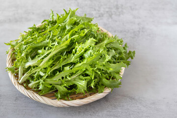 The fresh green leaves of the chicory salad in basket