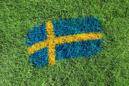 Sweden flag colors painted on grass field