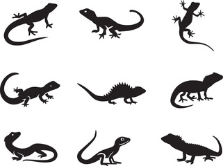 lizard vector silhouette illustration black color