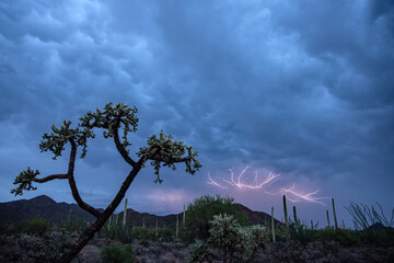 Mammatus clouds and lightning in the sonoran desert
