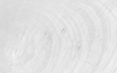 Fototapeta na wymiar White wood plank texture for background. Old Wood texture, bark for the background or text in shades of grey