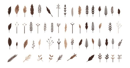 set of types of feather