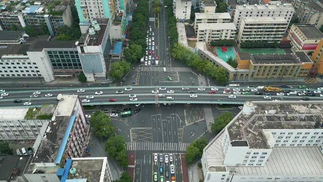 City Traffic Amongst Skyscrapers and Trees, Urban city with hassling traffic during the day