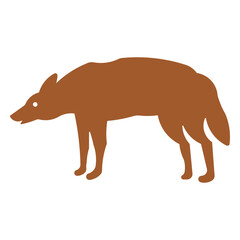 Coyote