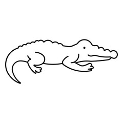 crocodile